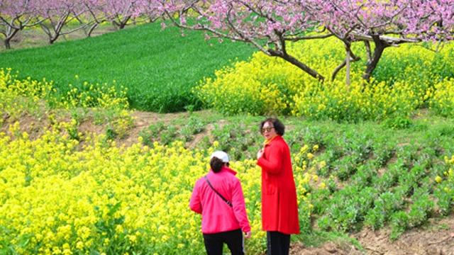 西華縣黃橋鄉農旅興促旺鄉村經濟