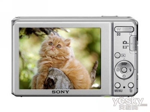 實惠就是王道千元消費級數碼相機大推薦